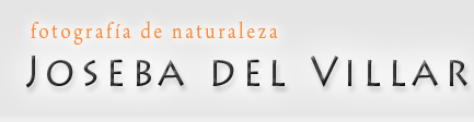 Logotipo de Joseba del Villar. Fotografa de la Naturaleza