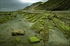 Rasa de Zumaia