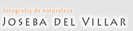Logotipo de Joseba del Villar. Fotografa de la Naturaleza